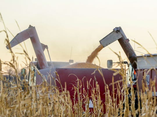 The case is being brought on behalf of a group of plaintiff farmers in a number of states and on behalf of all other “U.S. persons and entities” who purchased crop inputs from the three groups of defendants that “have kept a market structure in place that benefits each of them at the expense of farmers".