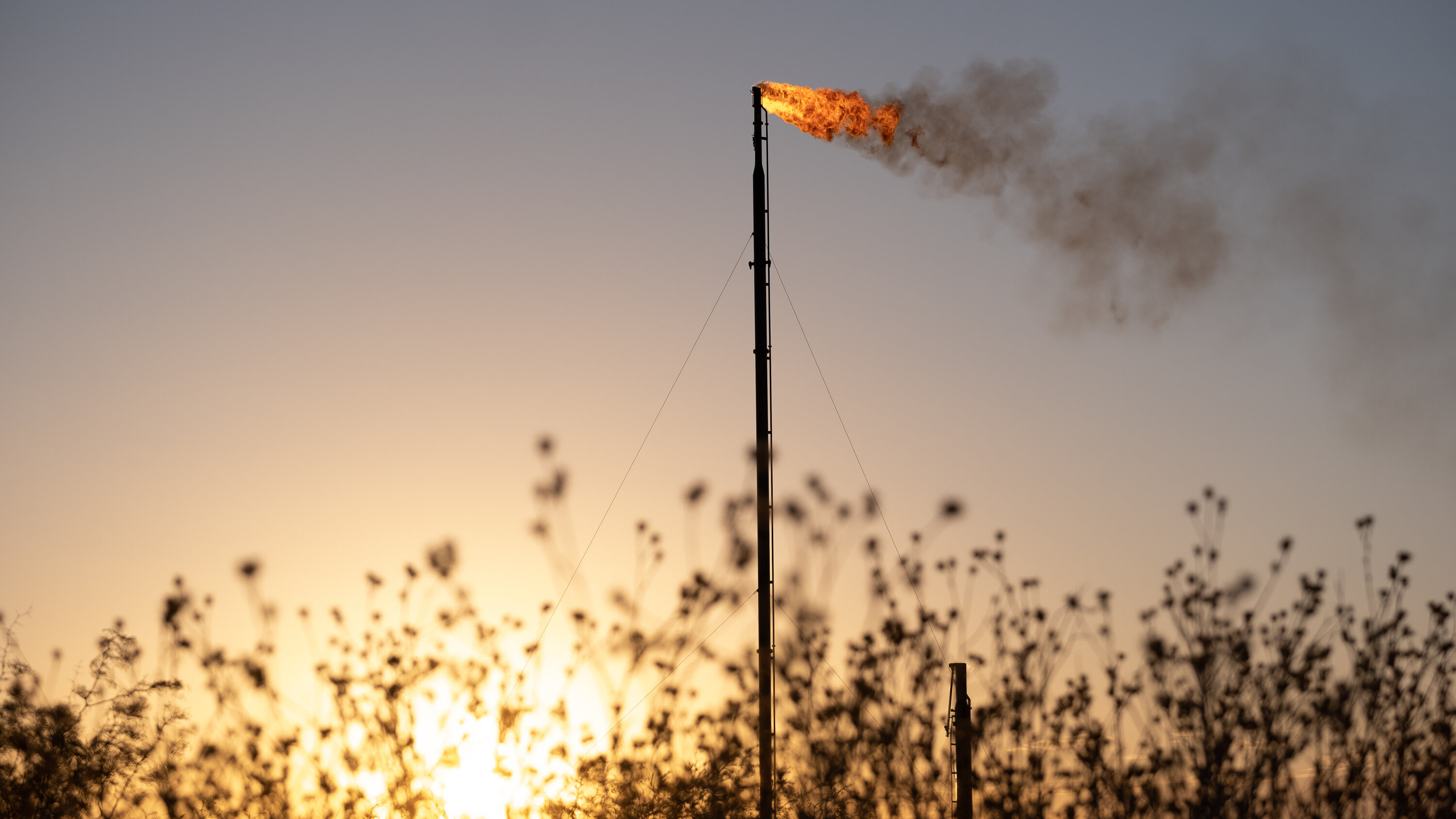 Video player loading