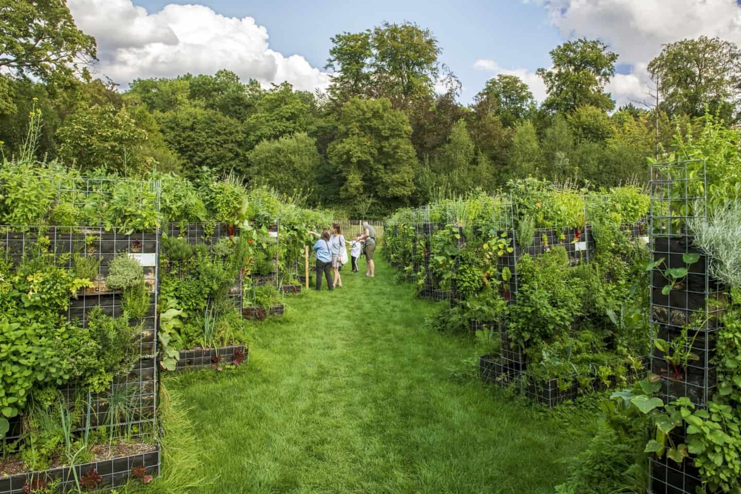 Peas&Love urban farms