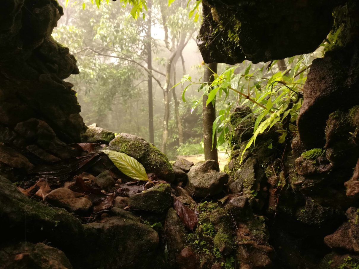 Meghalaya’s caves are some of the longest and deepest in India. Photo by Arkadeep Bhattacharya/Wikimedia Commons.