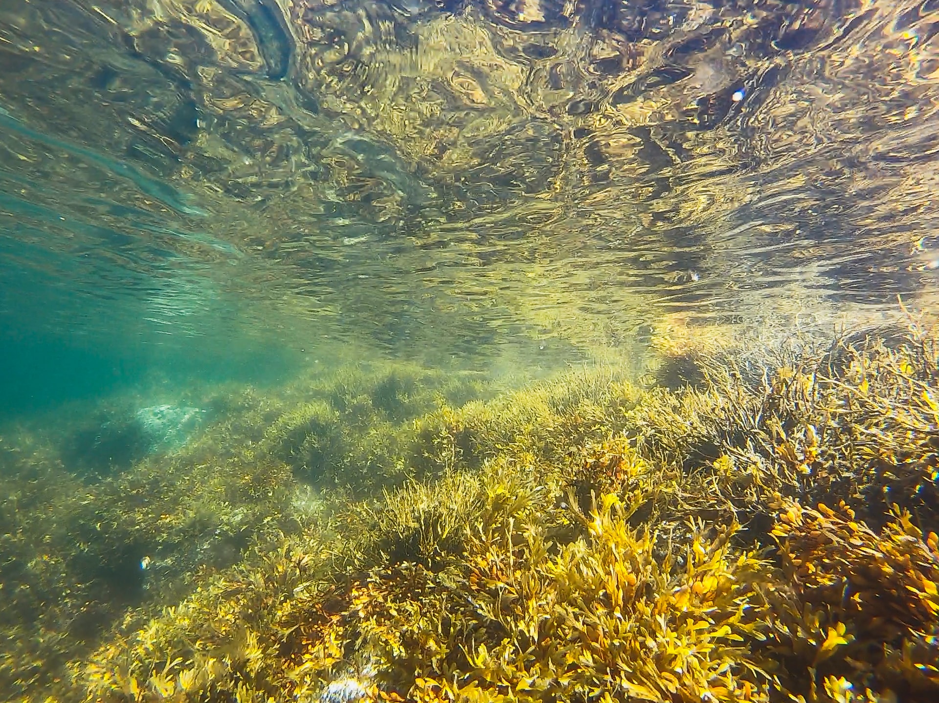Underwater ocean
