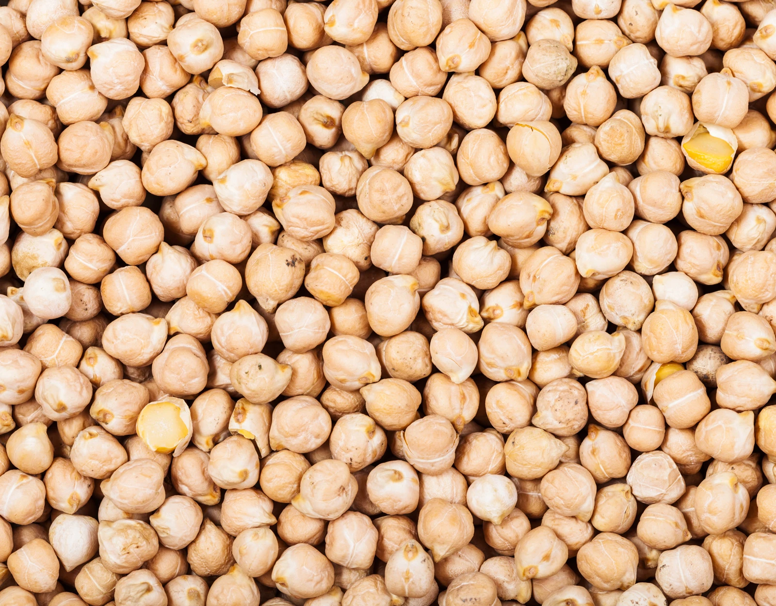 chana