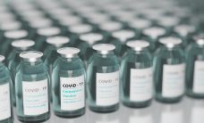 vaccine
