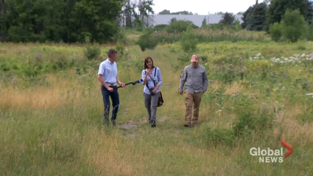 Click to play video: 'Conservation groups concerned about proposed PPE-making plant in Dorval'