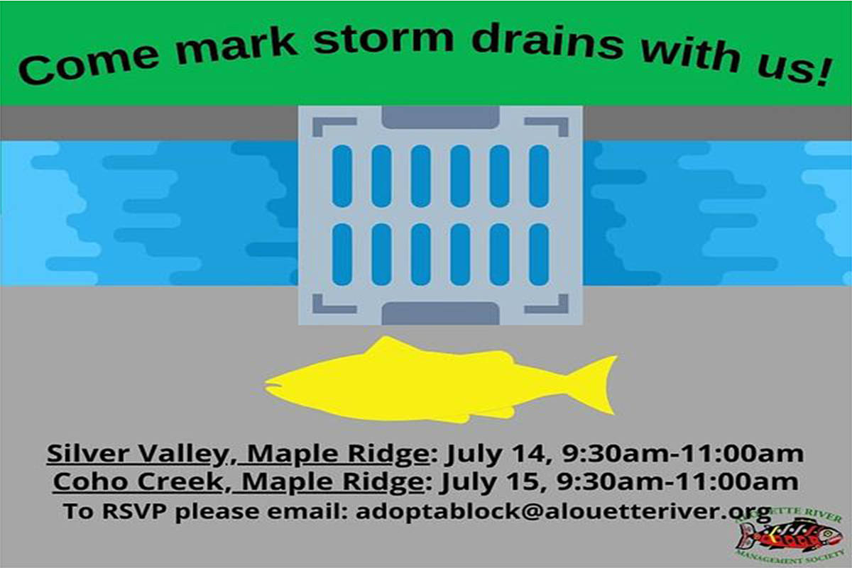 ARMS is asking for volunteers to help protect storm drains from toxic material.