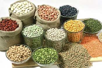 Pulses Pulses