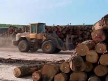 The impact of skyrocketing lumber prices 