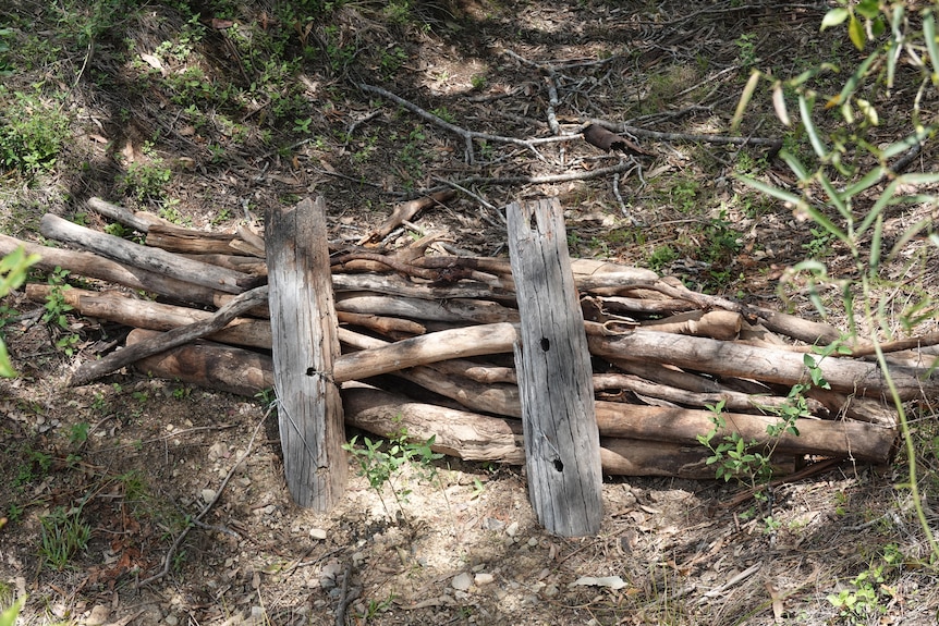 Sticks behind some posts in a dry watercourse.