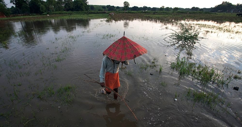 farm flood