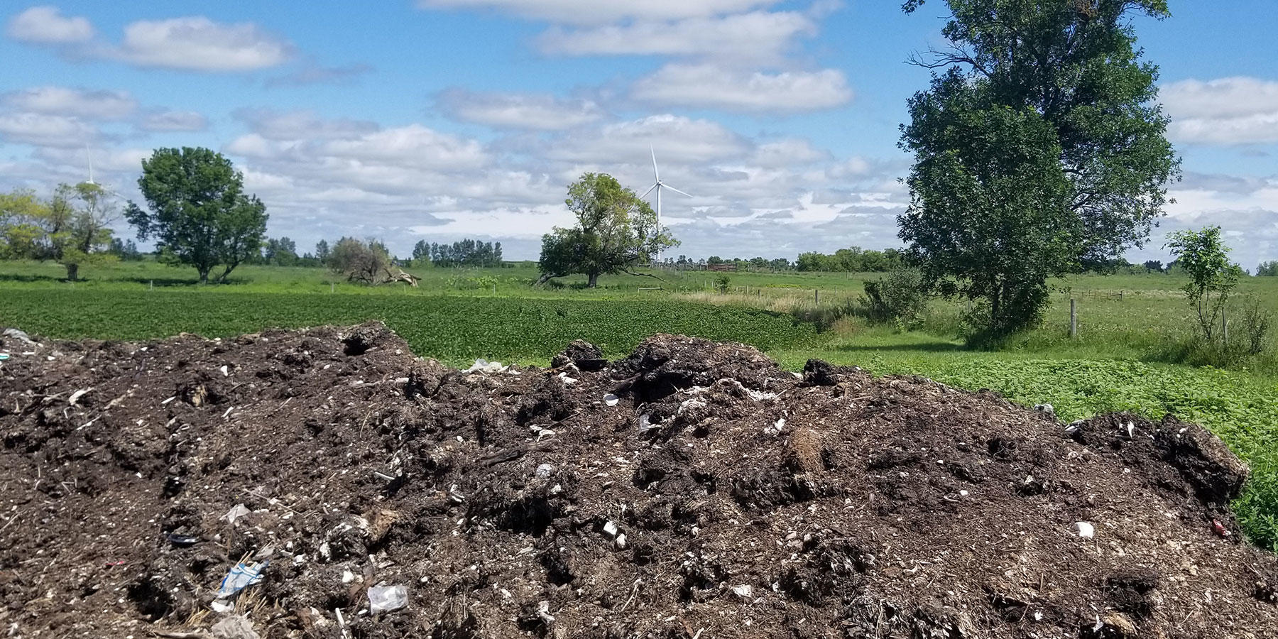 Compost pile on a sunny summer day. Wind turbine in the distance.