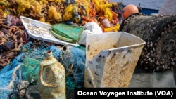 Coastal marine life are getting a ride on plastic containers like these that make their way to the ocean. (Courtesy of Ocean Voyages Institute)
