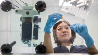 Japanese female technician examines a blood sample in an Argentine clinical analysis laboratory.