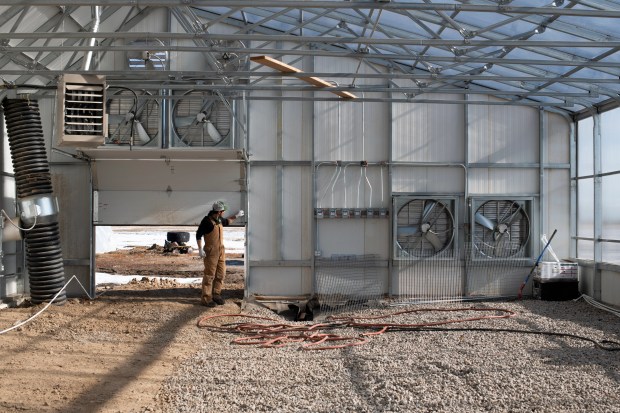 Roberto Meza, co-founder and farmer at ...