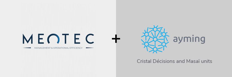 MEOTEC acquires Ayming’s procurement business in France