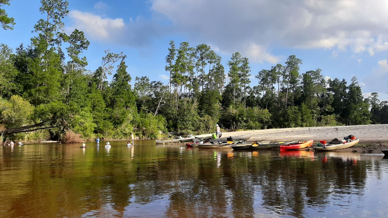 Perdido River conservation