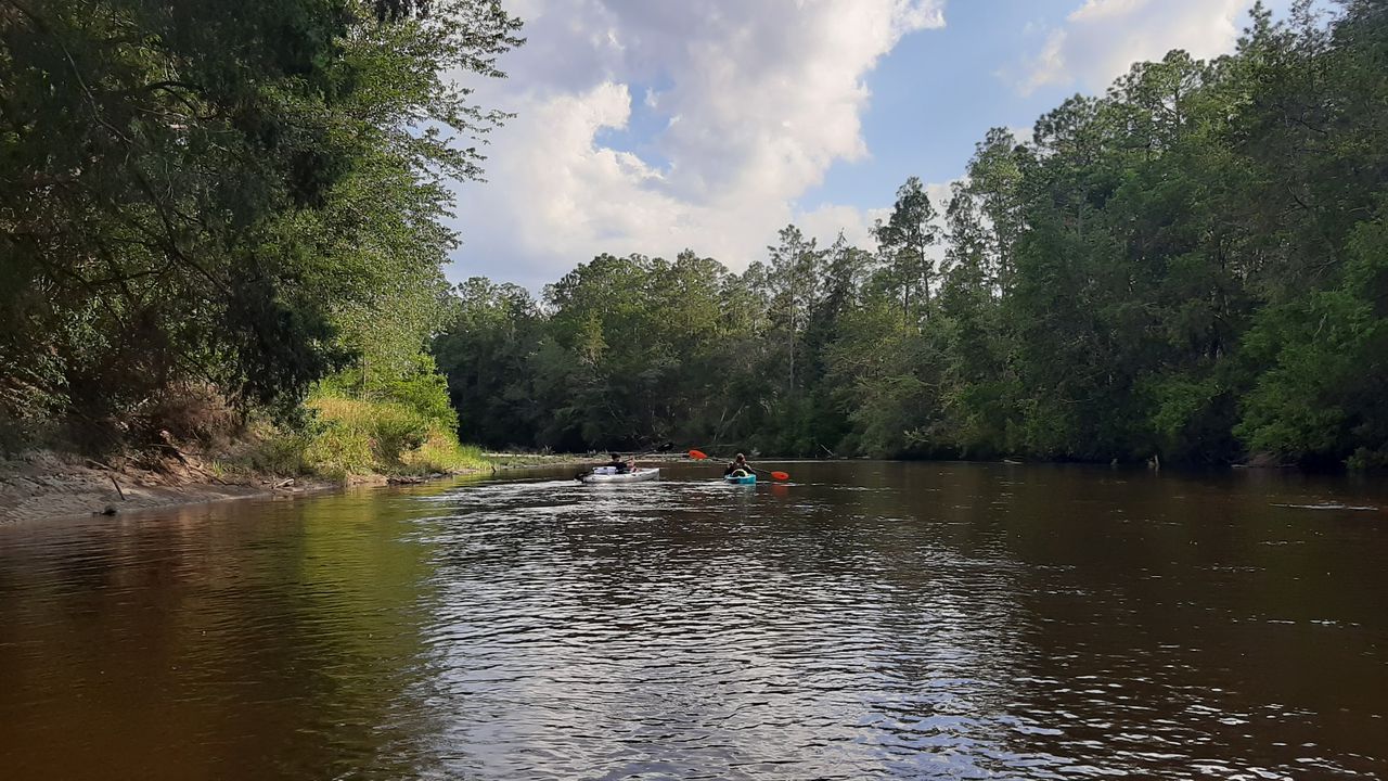 Perdido River Conservation