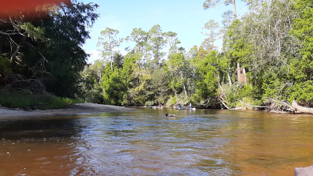 Perdido River Conservation
