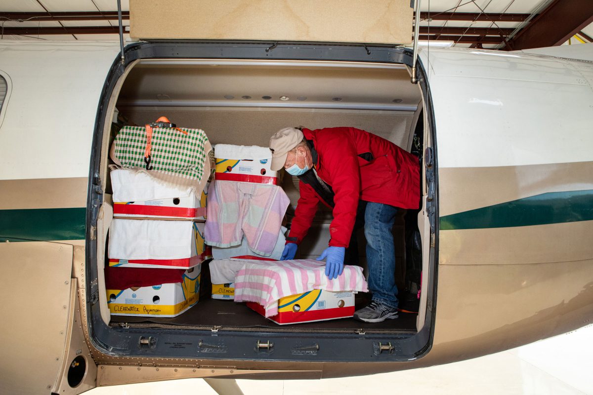 Charles Yanke, a volunteer pilot with Turtles Fly Too, loads boxes of sea turtles onto his plane in Marshfield, Massachusetts, for transport to rehabilitation centers outside the state.