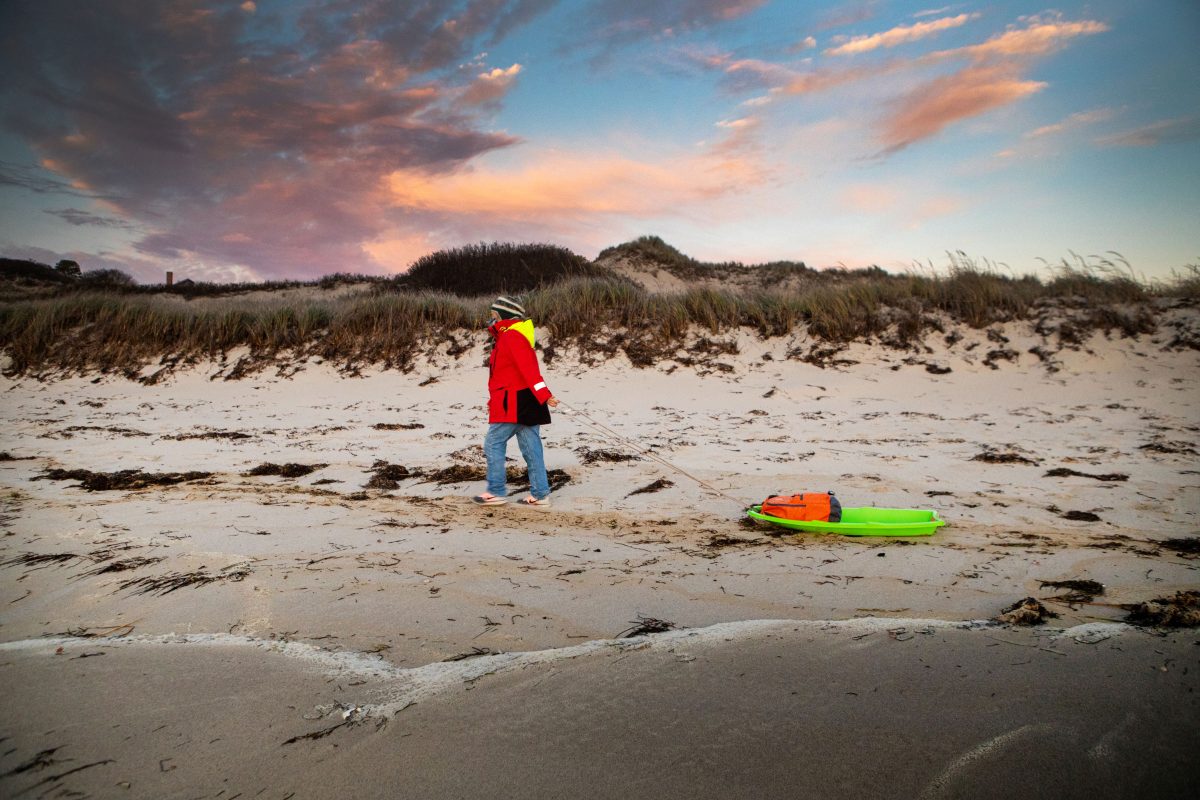 Carol "Krill" Carson, president and founder of the New England Coastal Wildlife Alliance and volunteer with Mass Audubon, searches for stranded sea turtles along a Cape Cod beach near her home.