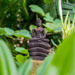 5 Best CBD Shops in Detroit You Should Try 1 buddha statue in nature