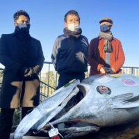 A 211-kilogram bluefin tuna from Oma, Aomori Prefecture, fetched ¥16.88 million in this year's first tuna auction at Tokyo's Toyosu market on Jan. 5. | KYODO