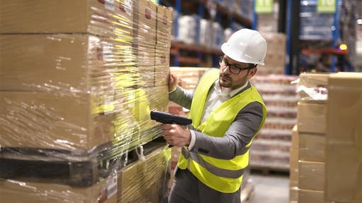 Littlewolf1989 Stock adobe com (2)