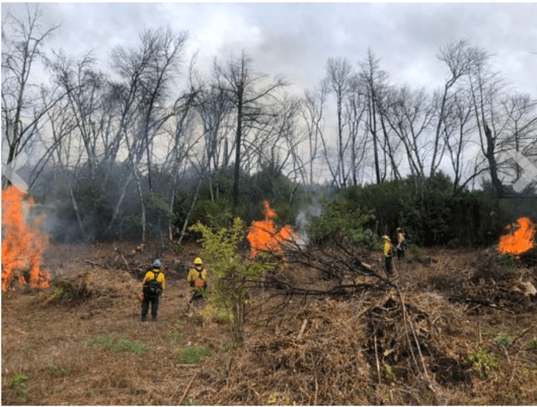 Traditional Fire at Audobon Canyon Ranch