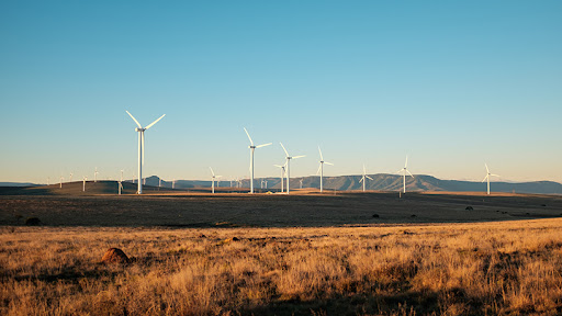 Cookhouse Wind Farm in the Eastern Cape.