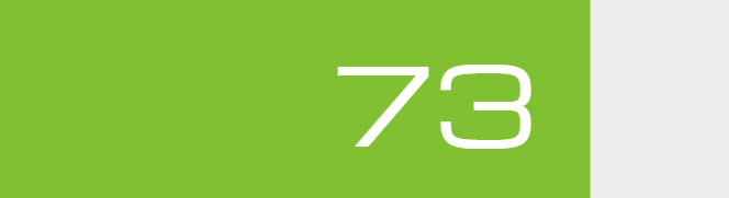 Overall Score - 73