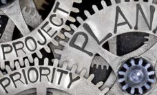 Procurement services vendors