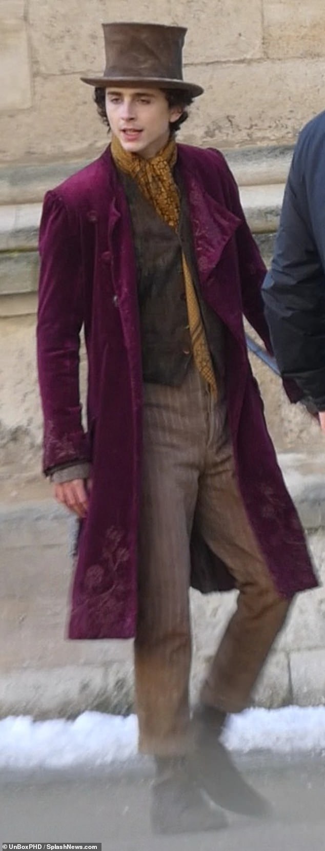 Quirky: The actor, 26, channelled Wonka's eccentric dress sense as he rocked a purple velvet tailcoat, brown top hat and a mustard yellow silk scarf