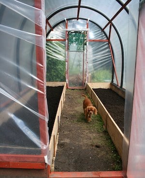polytunnel