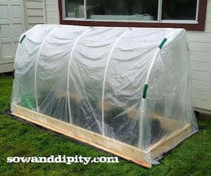 polytunnel