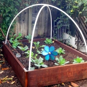 Super Cheap Hoop House for Winter