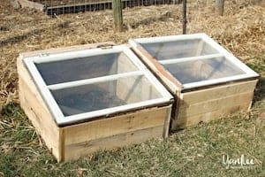 pallet cold frames