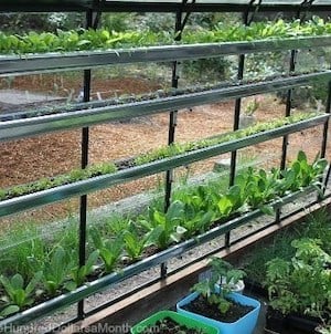 greenhouse gardening with gutters