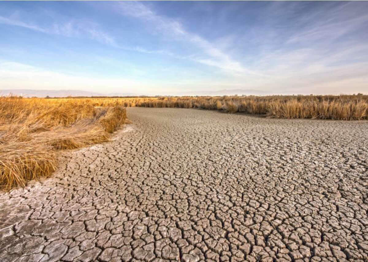 Drought - Economic damages between 2010–20: 0.024% of GDP Buildings must be designed as a source of water to be resilient to drought. The type of water that can be produced or collected from a building include graywater, blackwater, rainwater, stormwater, or foundation drainage. Graywater is the leftover water collected from showers, washing machines, and bathroom sinks, and it’s the cleanest kind of water that could be collected from a building. While it is not potable water, graywater can be used for irrigation, laundry, and for flushing toilets. This makes it so potable water does not have to be used for those purposes. In San Francisco, the capture and reuse of this non-potable water is mandated for new buildings.