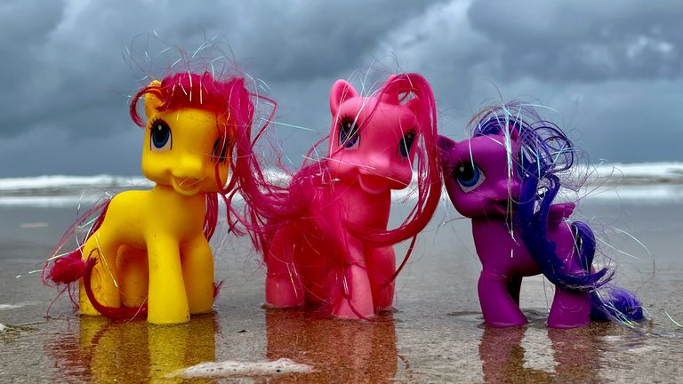 My Little Pony toys featured in Tracey Williams' book, Adrift: The Curious Tale Of The Lego Lost At Sea. Pic: Tracey Williams
