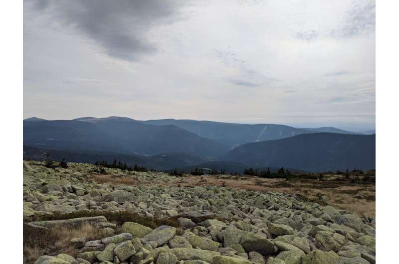 A field of lichen-covered rocks in the Czech Republic. Credit: © Matt Nelsen, Field Museum Lichens are in danger of losing the evolutionary race with climate change
