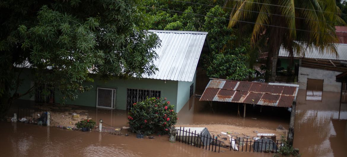 In the La Democracia neighborhood of the municipality of San Manuel in the department of Cortés, the floods caused by the flooding of the river Ulúa river due to Eta and Iota storms has left the entire neighborhood under water. In the La Democracia neighborhood of the municipality of San Manuel in the department of Cortés, the floods caused by the flooding of the river Ulúa river due to Eta and Iota storms has left the entire neighborhood under water.