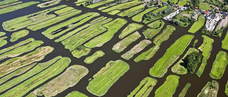 Sea-Level Rise: Could The Netherlands’ Polder System Work in the U.S.?, © Frans Lemmens