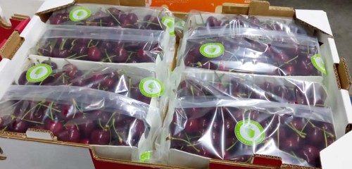 StePac’s Automated Packaging Formats Reign on the Chile- China Route (PRNewsfoto/StePac)
