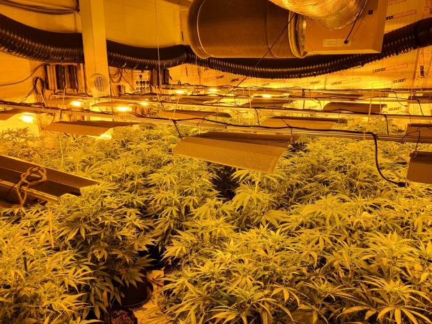 Hampshire Chronicle: One of the 12 illicit factories 