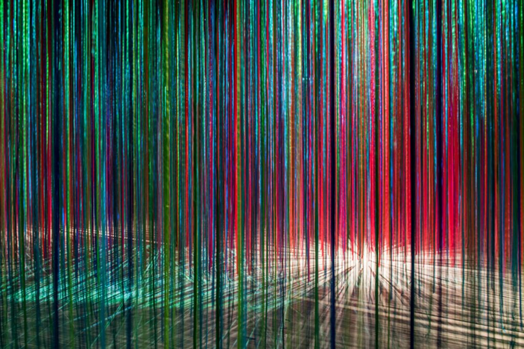 Anne Patterson, <em>Pathless Woods</em>. Photo courtesy of the Color Factory.