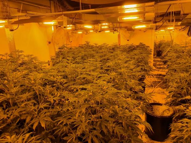 Hampshire Chronicle: One of the 12 illicit factories 