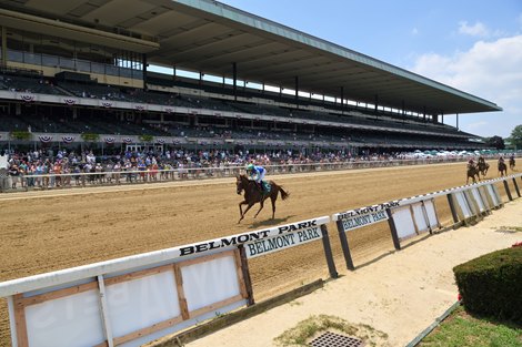 Racing at Belmont Park