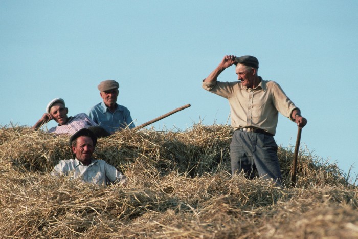 Male farm workers rest amid bales of wheat holding their harvesting tools in the sun