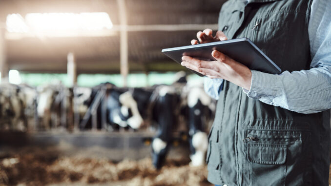 Improving accountability and transparency for organic farmers. Female farmer using a tablet computer to provide more information about her organic meat products - using OriginTrail blockchain system.