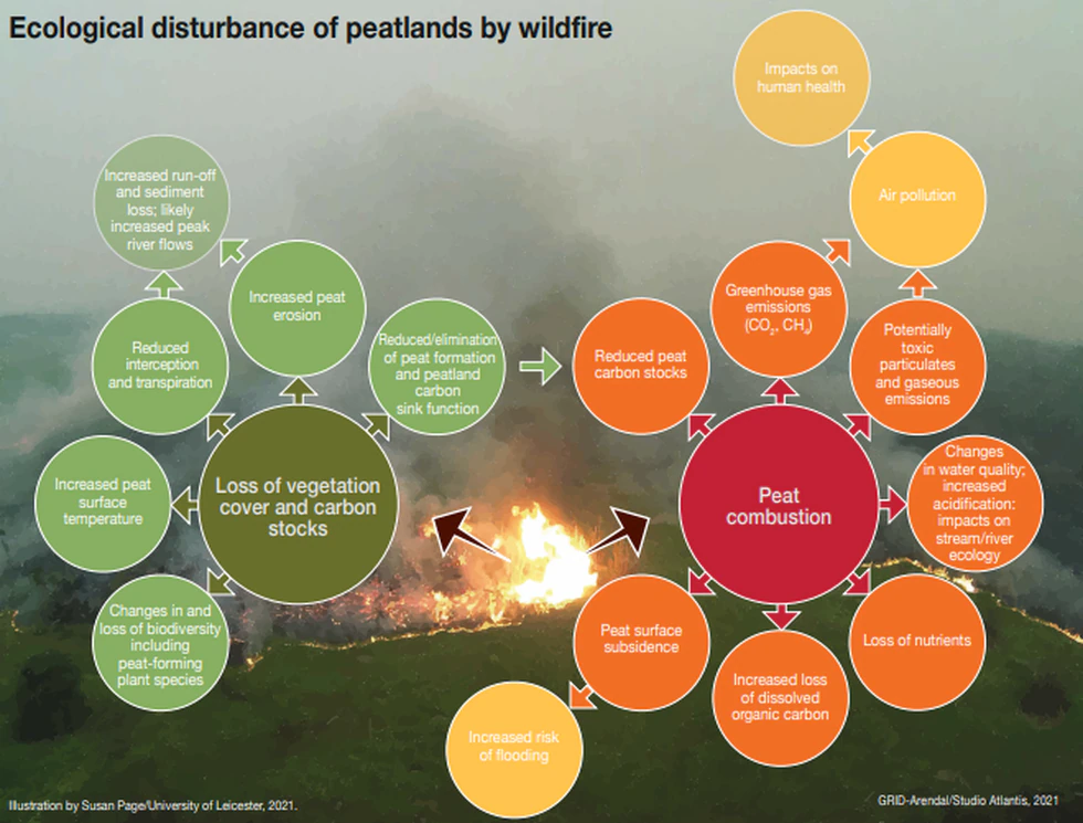An example of the ecological disturbance that can result from wildfires on peatlands. Peatlands...