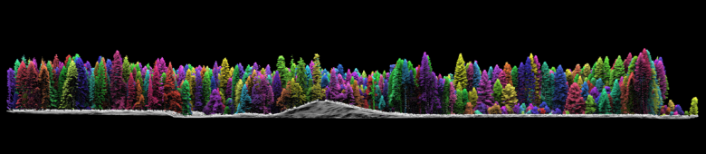 Cross-sectional view of forest in Yosemite National Park created with lidar, with trees artificially colored in many colors